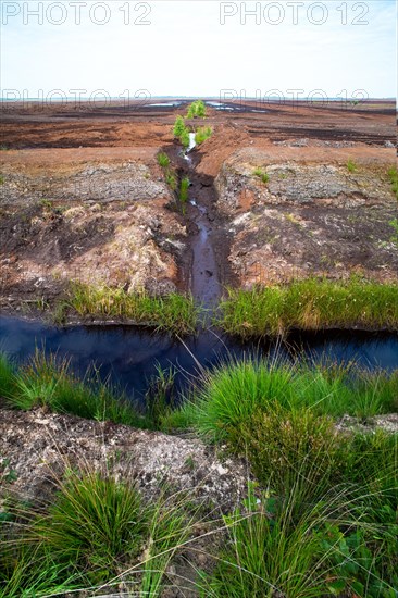 Moor landscape photograph