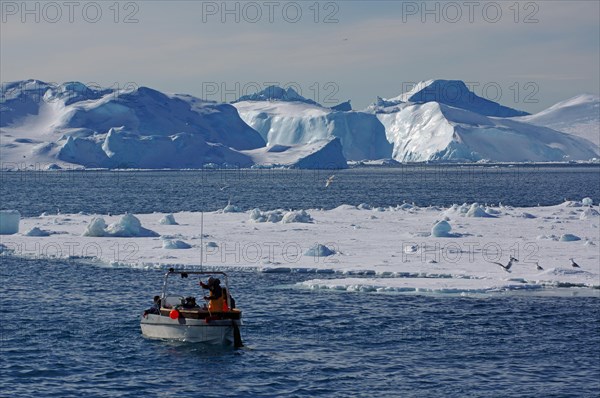 Small fishing boat in front of huge icebergs and drift ice