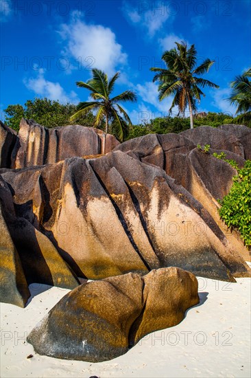 Anse Source d'Argent