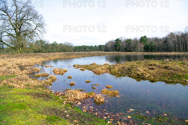 Landscape photograph of moor