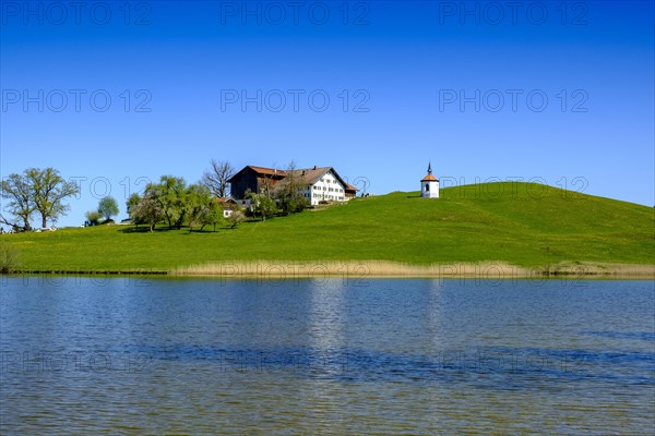 Am Hegratsrieder Weiher