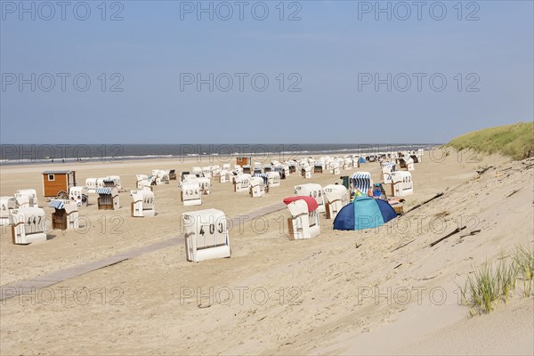 Beach chairs on the bathing beach