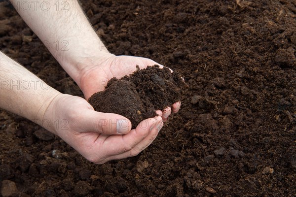 Peat cutting