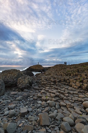 Coast with Basalt Columns