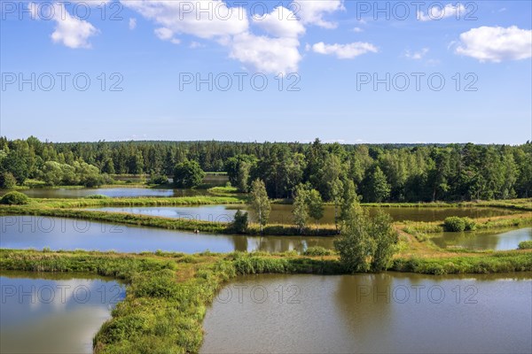 From the ladder to the carp ponds. Tirschenreuther Teichpfanne