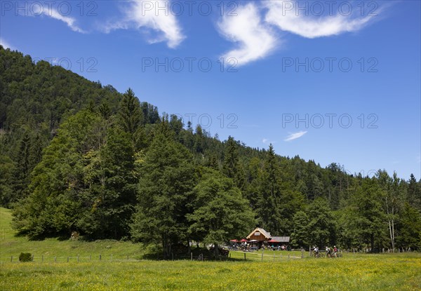 Hiking trail from Schwarzensee to Moosalm Municipality of St.Wolfgang