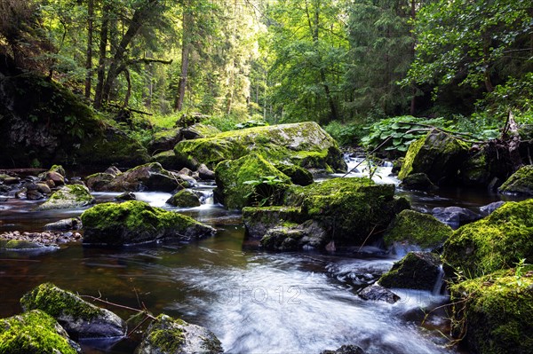 Haslach Gorge