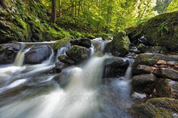 Haslach Gorge