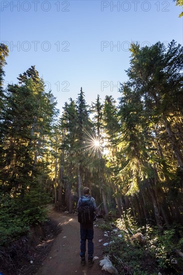 Young man on a hiking trail in the forest