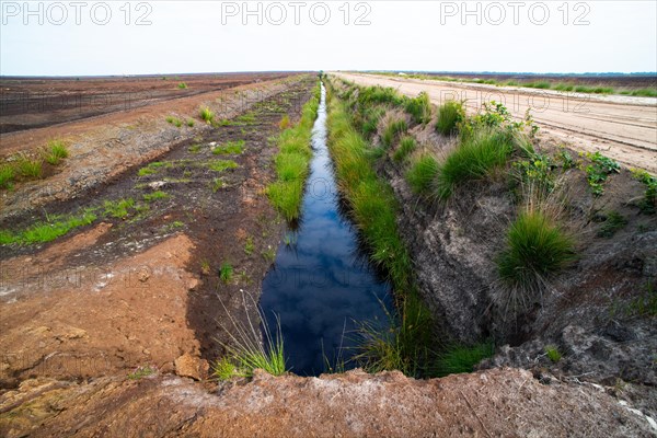 Moor landscape photograph