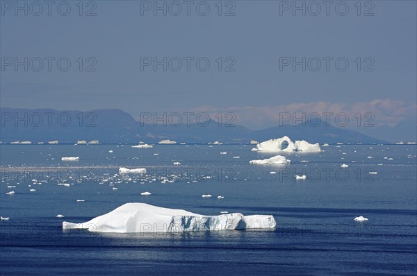 Icebergs in a wide bay