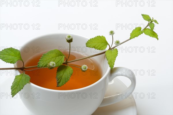 Aztec sweet herb and cup of tea