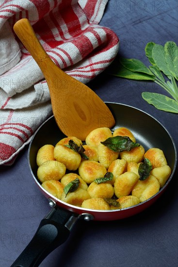 Fried potato gnocchi with sage leaves in pan