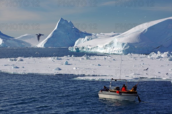 Fishing boat in front of icebergs