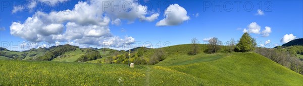 Hiking signpost in summer landscape