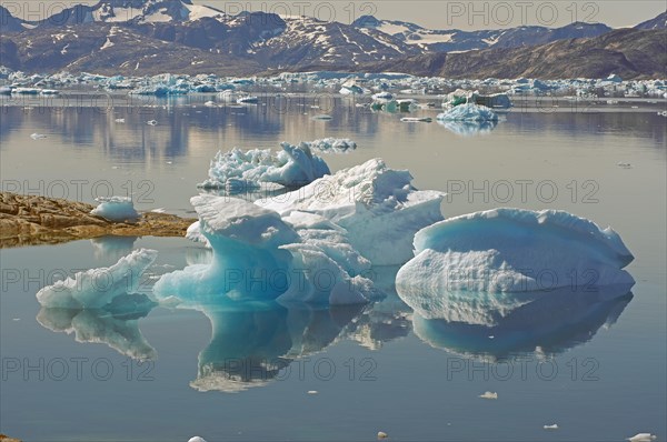 Icebergs reflected in the water of a fjord