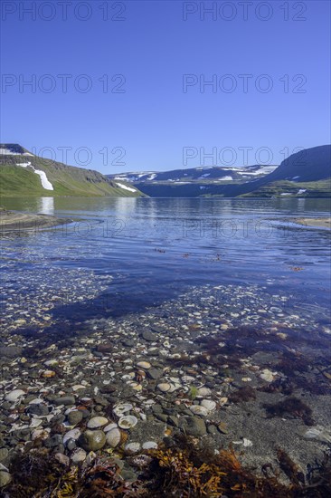 Shell Bay