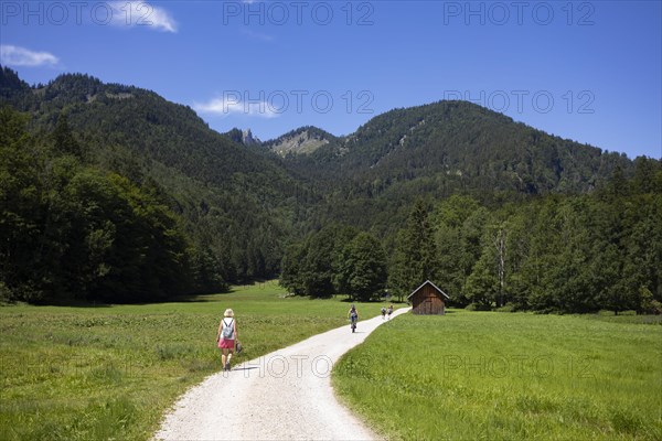 Hiker on the path from Schwarzensee to Moosalm Municipality of St.Wolfgang