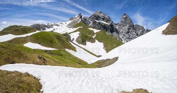 Old snow fields