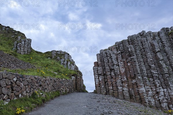 Coast with Basalt Columns