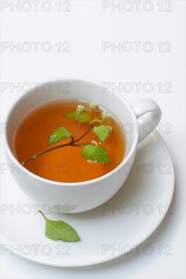 Aztec sweet herb and cup of tea