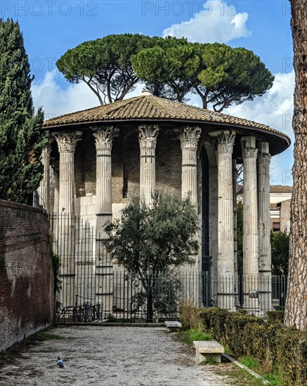 Temple of Hercules Olivarius