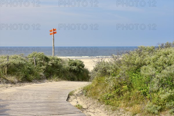 Path to the bathing beach