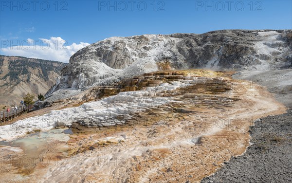 Sinter terraces