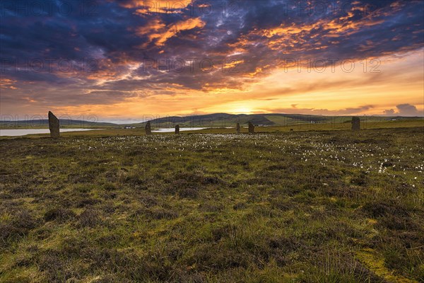 Meadow by a loch