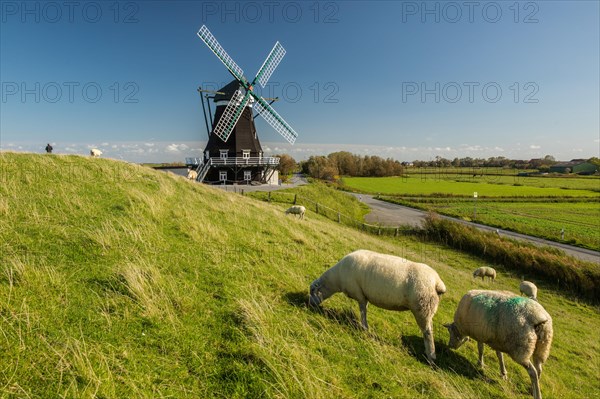 Windmill