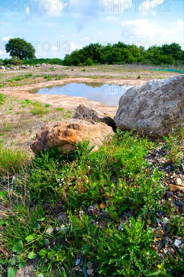 Amphibian spawning waters in the protected area