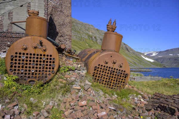 Metal boiler at the ruin of a whaling station