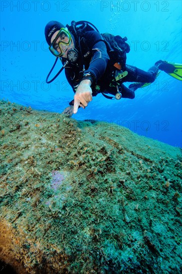 Diver points to paint marks at impact site on underwater rocks after Costa Concordia cruise ship accident