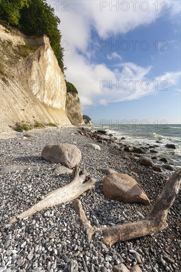 Chalk cliffs