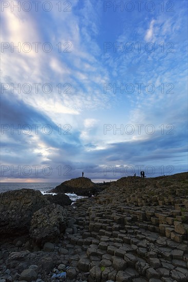 Coast with basalt columns in the evening