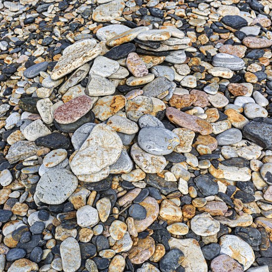 Various flat stones rounded by the sea