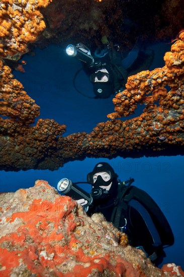 Diver looking at and illuminating yellow crustose anemones (Parazoanthus axinellae) and reflected in air bubble in underwater cave ceiling