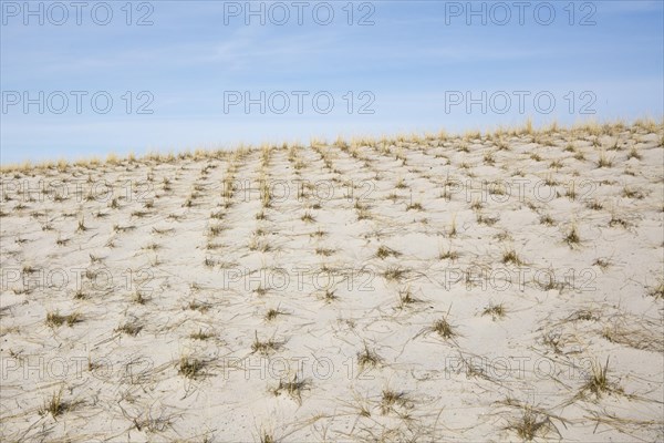 Sand dune