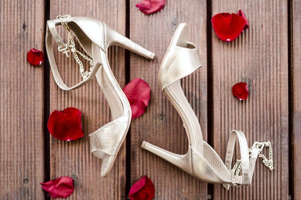 Golden high heel shoes with rose petals on wooden background