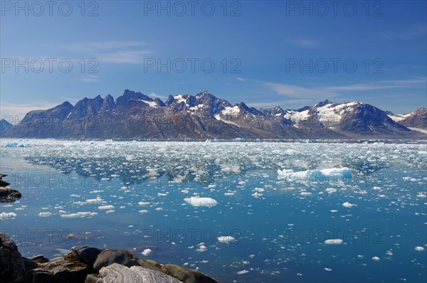 View of a fjord filled with drift ice