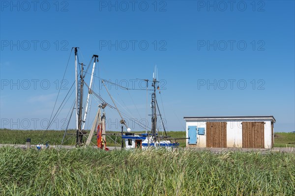 Mast superstructure of a crab cutter in the natural harbour