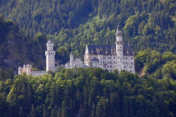 Neuschwanstein Castle