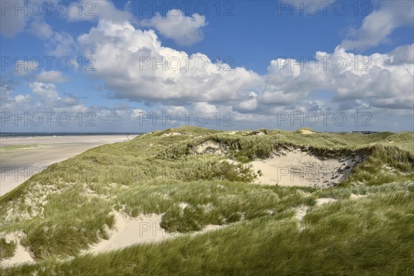 Marginal dunes near Norddorf