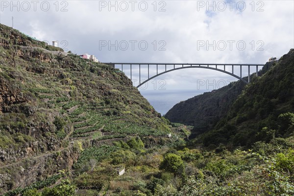 Bridge Puente de Los Tilos