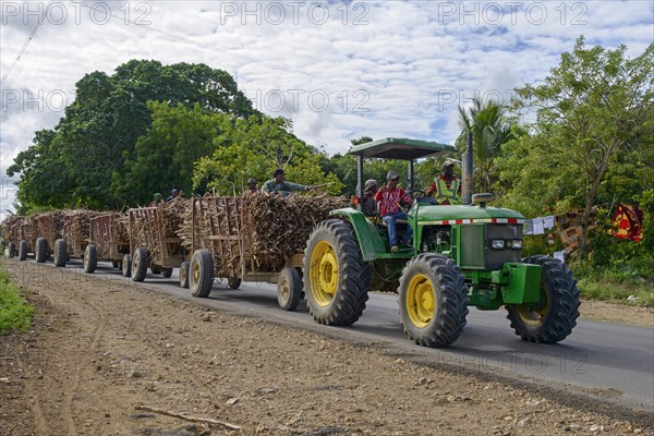 Tractor