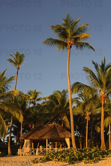 Beach in the evening light