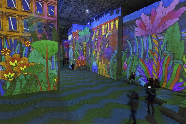 Light and pictureshow Carrieres des Lumieres