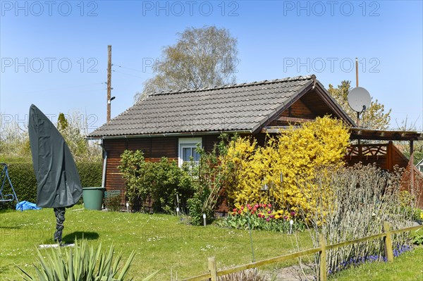 Allotment garden colony