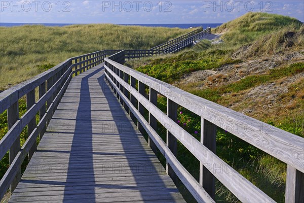 Boardwalk through the dunes to the beach of Kampen