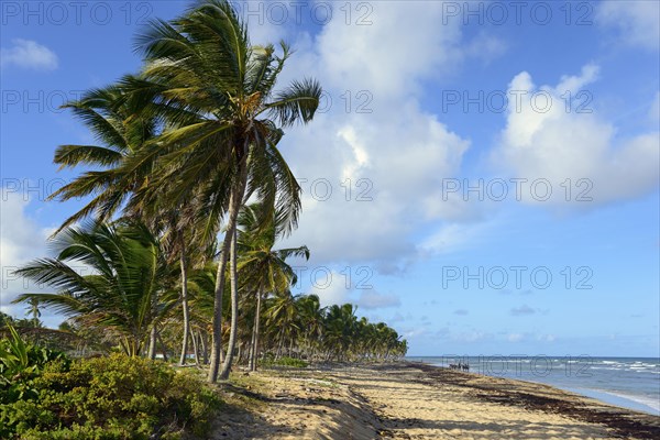 Beach near Uvero Alto